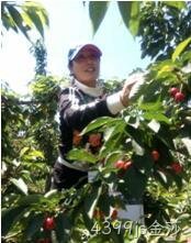无锡4399js金莎化工科技开发有限公司